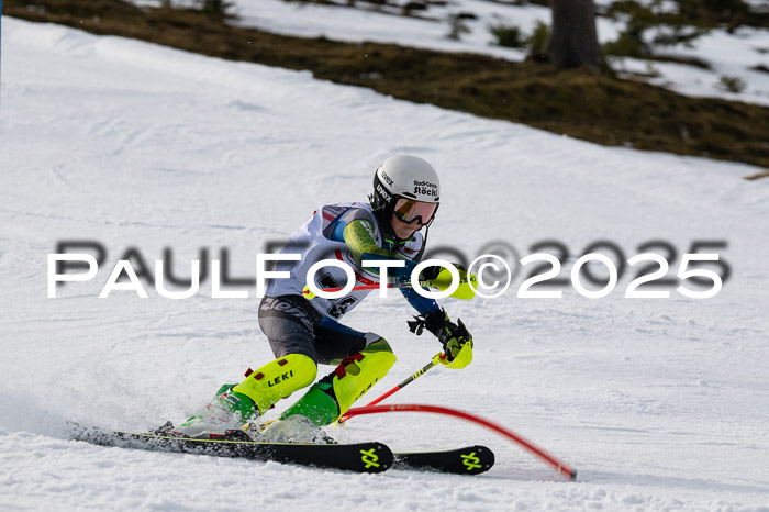 DSV ELK Schülercup Alpin U14 SL, 22.02.2025