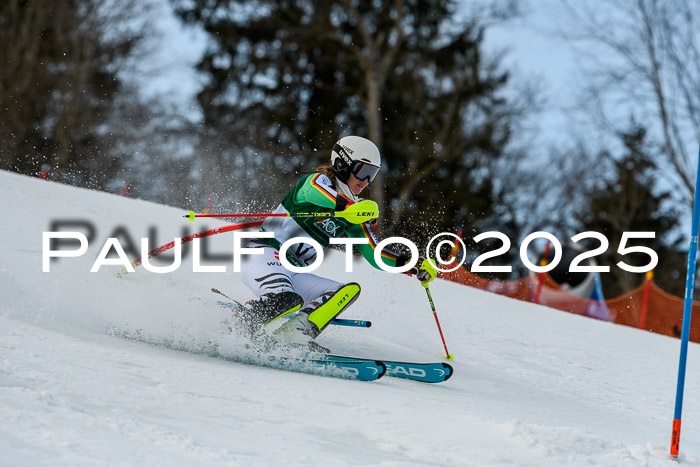 FIS Slalom Damen + Herren, 09.03.2025
