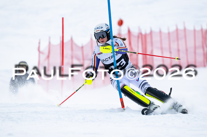 FIS Slalom Damen + NJR Herren, 06.12.2025