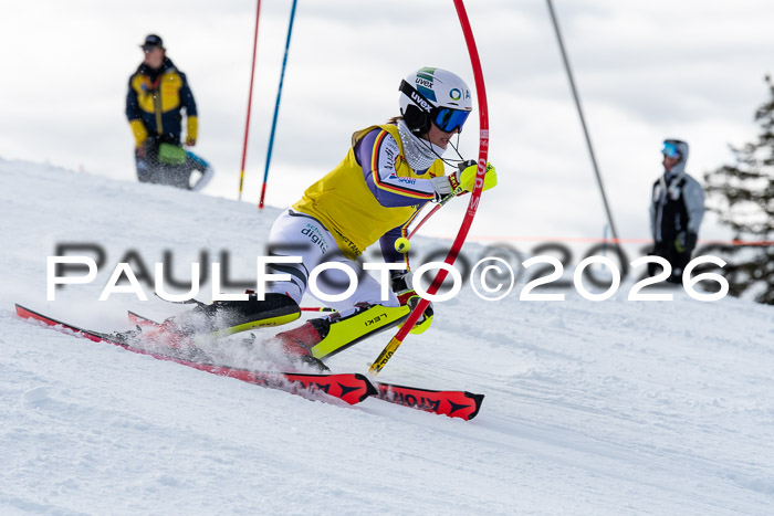 FIS Slalom Damen + NJR Herren, 06.12.2025