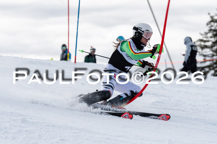 FIS Slalom Damen + NJR Herren, 06.12.2025