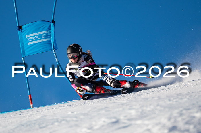 FIS Riesenslalom Damen + Herren Kaltenbach 14.12.2025