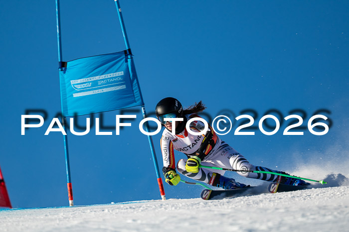 FIS Riesenslalom Damen + Herren Kaltenbach 14.12.2025