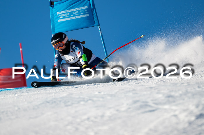 FIS Riesenslalom Damen + Herren Kaltenbach 14.12.2025