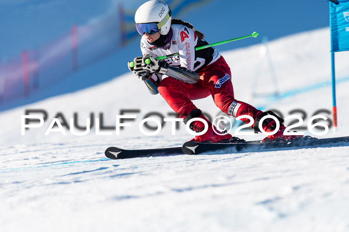 FIS Riesenslalom Damen + Herren Kaltenbach 14.12.2025