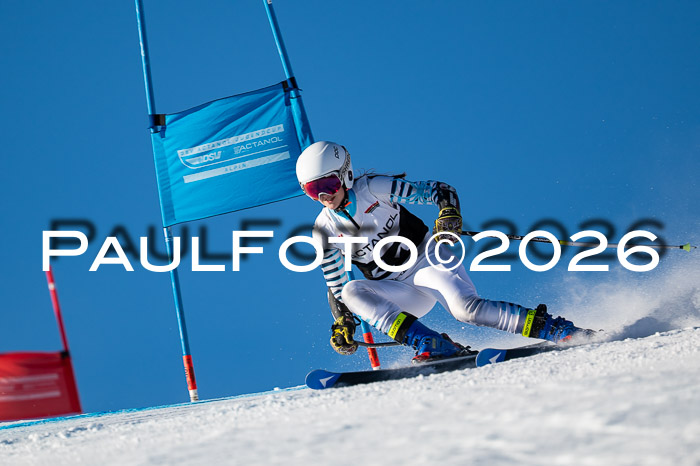 FIS Riesenslalom Damen + Herren Kaltenbach 14.12.2025