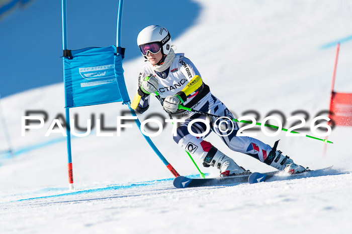 FIS Riesenslalom Damen + Herren Kaltenbach 14.12.2025