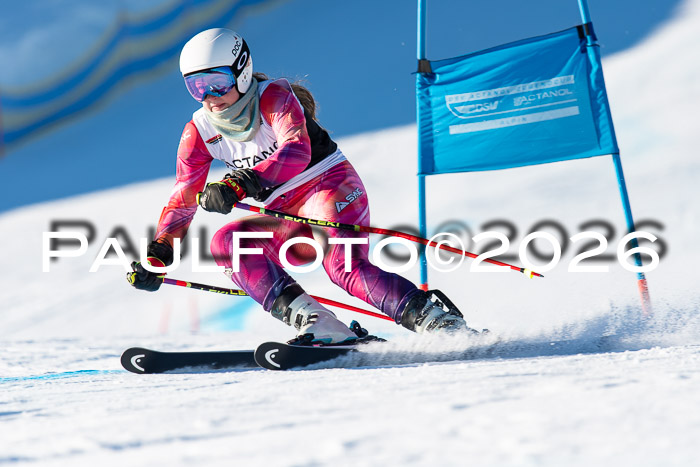 FIS Riesenslalom Damen + Herren Kaltenbach 14.12.2025