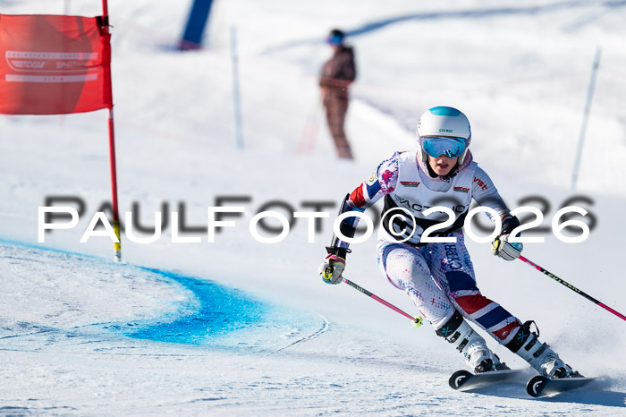 FIS Riesenslalom Damen + Herren Kaltenbach 14.12.2025