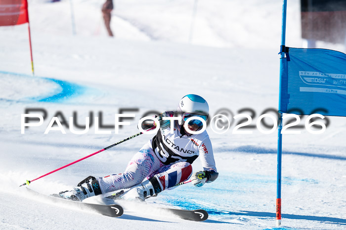 FIS Riesenslalom Damen + Herren Kaltenbach 14.12.2025