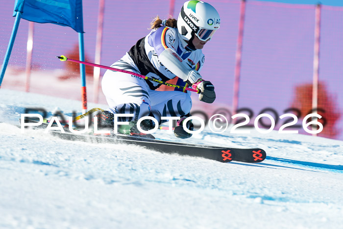 FIS Riesenslalom Damen + Herren Kaltenbach 14.12.2025