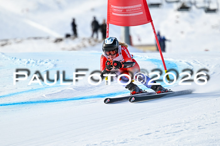 FIS Super-G Damen + Herren Kaltenbach 20.12.2025