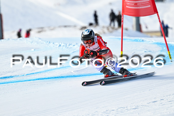 FIS Super-G Damen + Herren Kaltenbach 20.12.2025