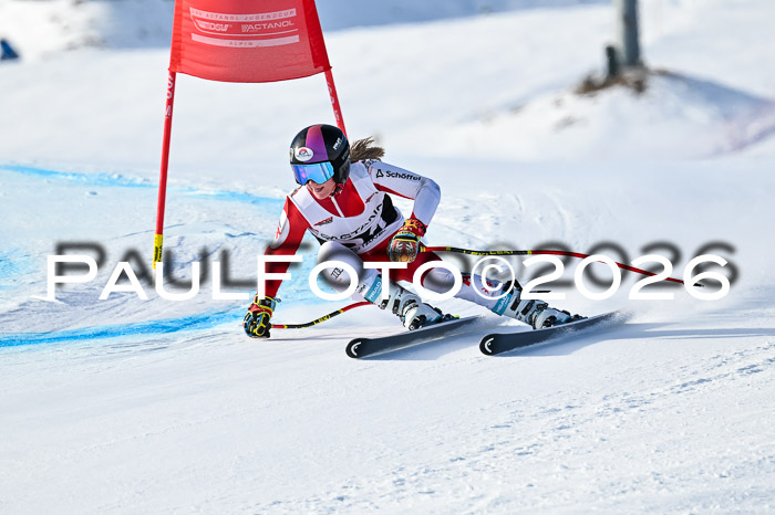 FIS Super-G Damen + Herren Kaltenbach 20.12.2025
