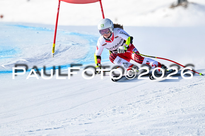 FIS Super-G Damen + Herren Kaltenbach 20.12.2025