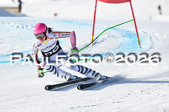 FIS Super-G Damen + Herren Kaltenbach 20.12.2025