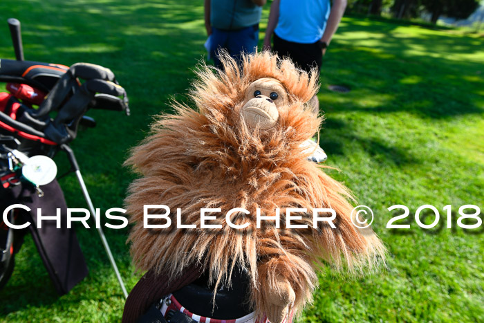 11. BSV Golfturnier