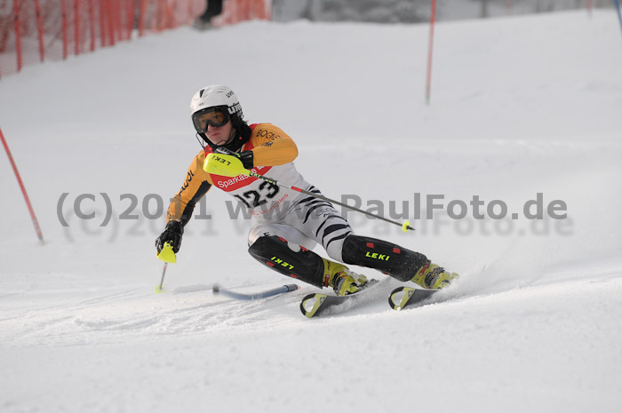 BJM SL 04.01.11 Herren