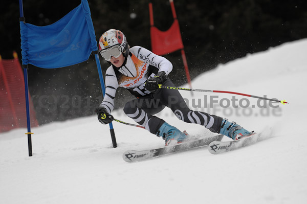ASV-Ziener CUP 1