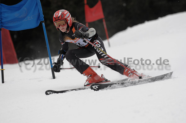 ASV-Ziener CUP 1