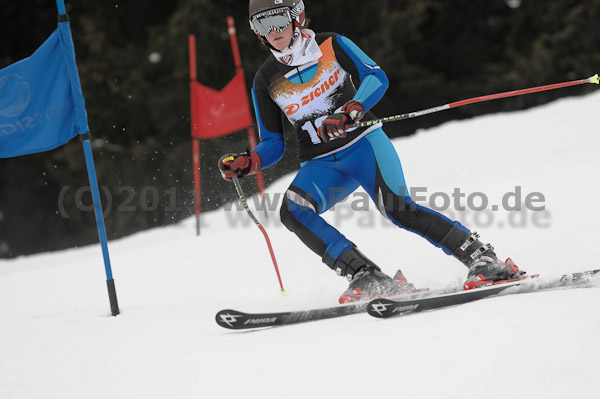 ASV-Ziener CUP 1
