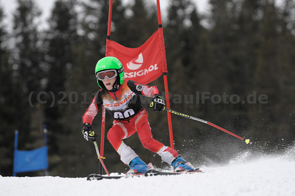 ASV-Ziener CUP 1