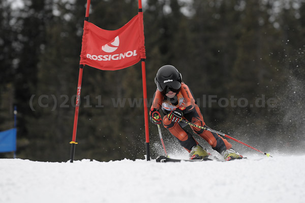 ASV-Ziener CUP 1