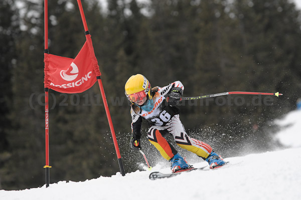 ASV-Ziener CUP 1