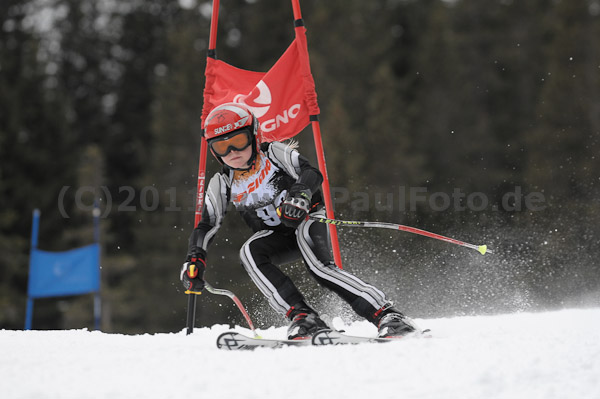 ASV-Ziener CUP 1