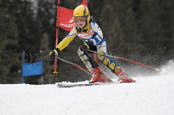ASV-Ziener CUP 1