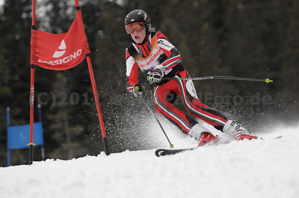 ASV-Ziener CUP 1