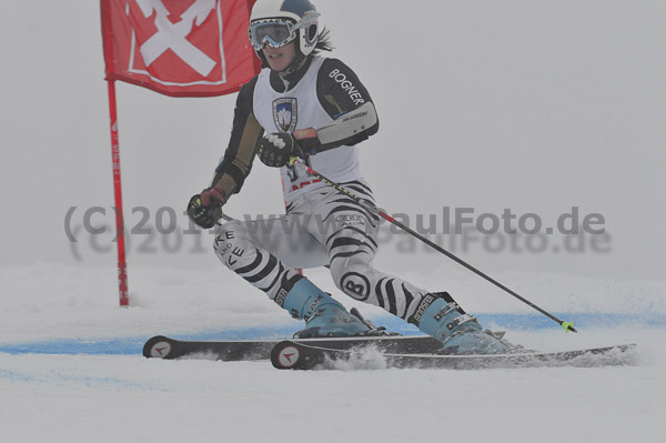 FIS-NJR Herren RS 2011