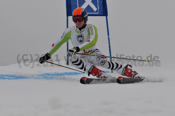 FIS-NJR Herren RS 2011