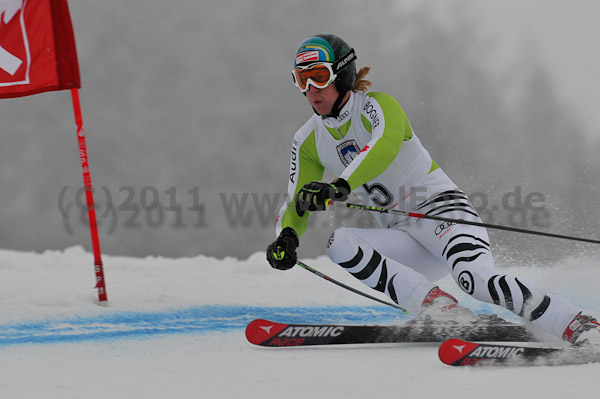 FIS-NJR Herren RS 2011