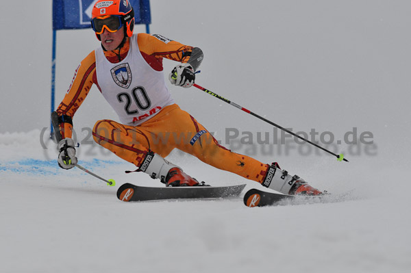 FIS-NJR Herren RS 2011