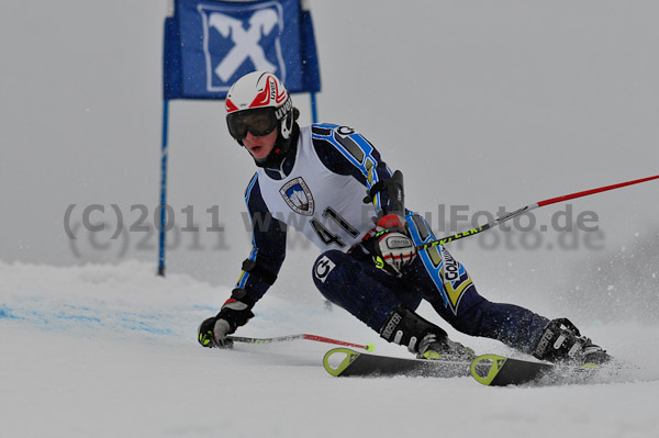 FIS-NJR Herren RS 2011