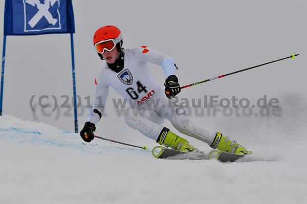 FIS-NJR Herren RS 2011
