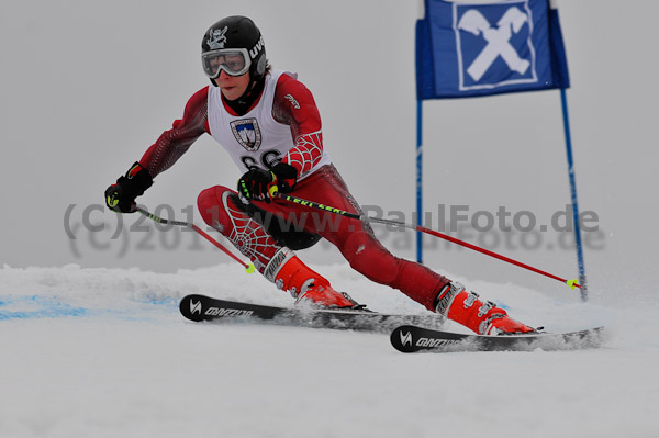 FIS-NJR Herren RS 2011