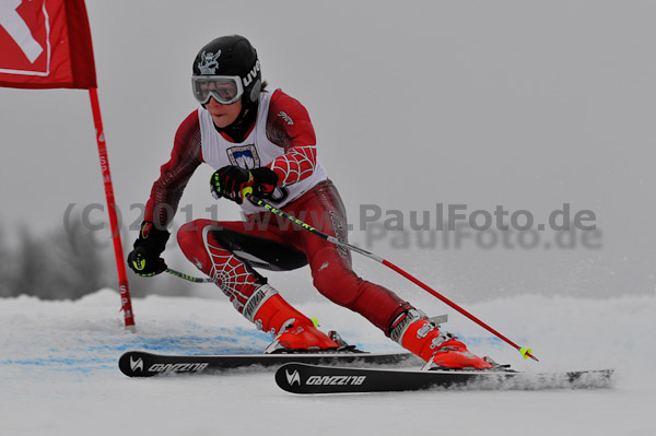 FIS-NJR Herren RS 2011