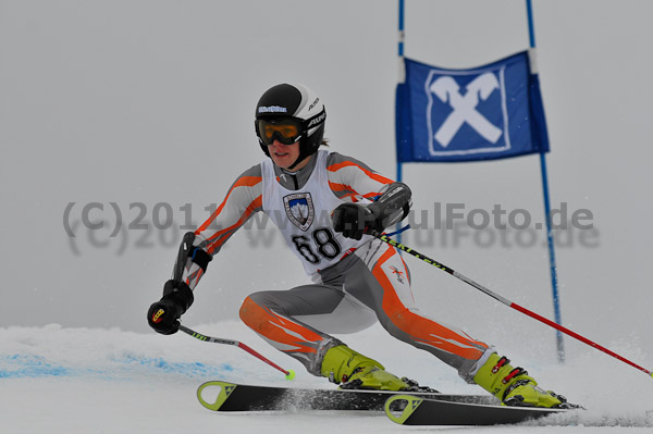 FIS-NJR Herren RS 2011