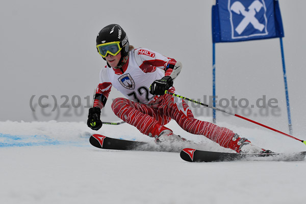 FIS-NJR Herren RS 2011