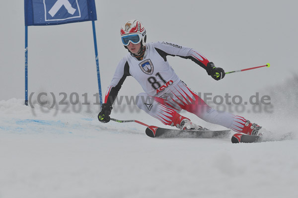 FIS-NJR Herren RS 2011