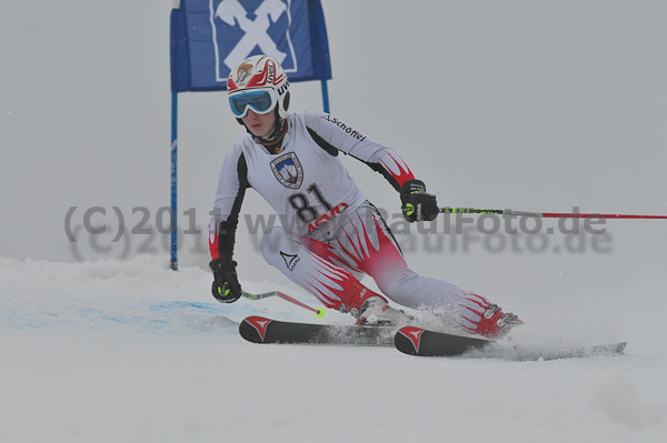 FIS-NJR Herren RS 2011