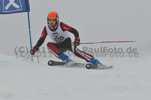 FIS-NJR Herren RS 2011