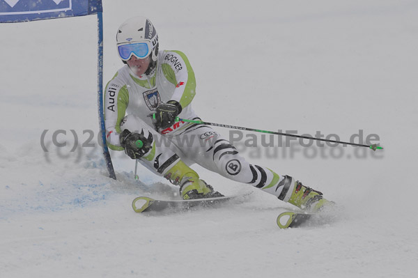 FIS-NJR Herren RS 2011
