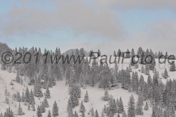 1. Landescup Inngau 2011