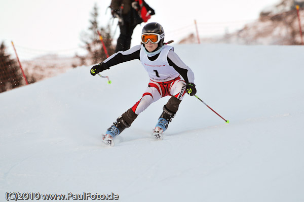 1. Landescup 2010