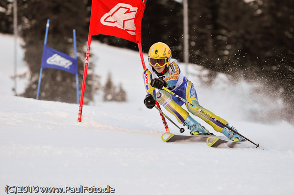 1. Landescup 2010