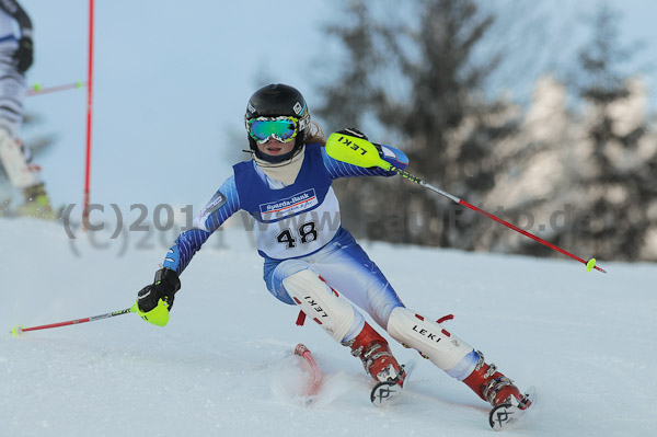2. Landescup Werdenfels 2011