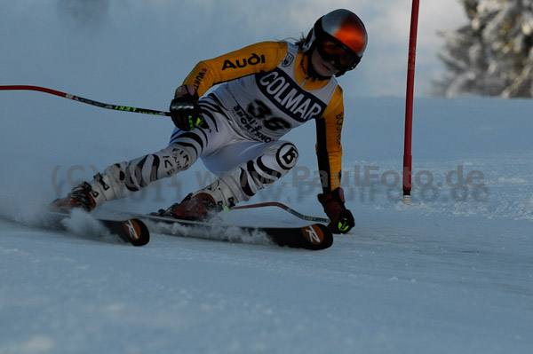 Coupe d'Europe CIT-FIS 2011